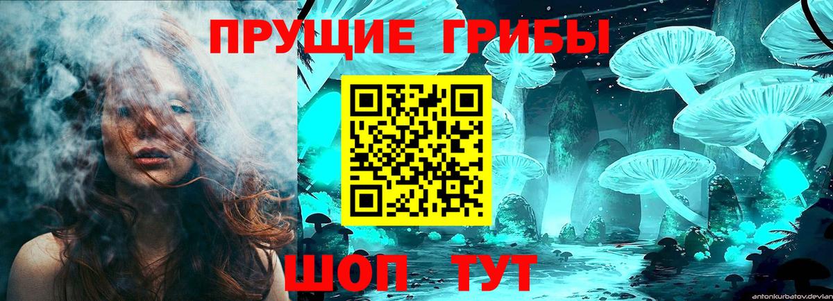 Псилоцибиновые грибы Psilocybine cubensis  Вход с VPN  Новокузнецк 
